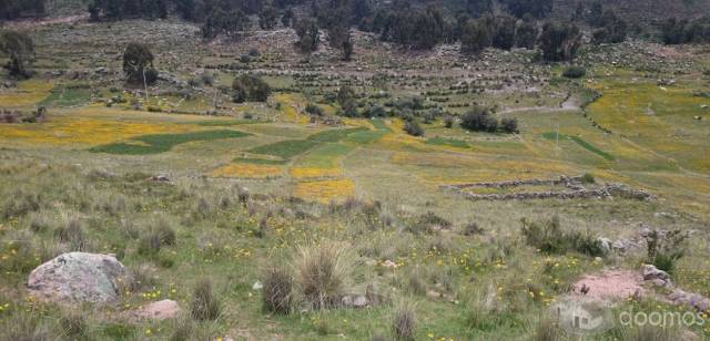Terreno en Rosaspata, Puno, Peru (Negociable)